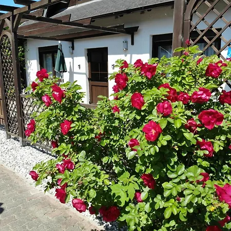 Kress Rechts شقة Sellin (Rugen)